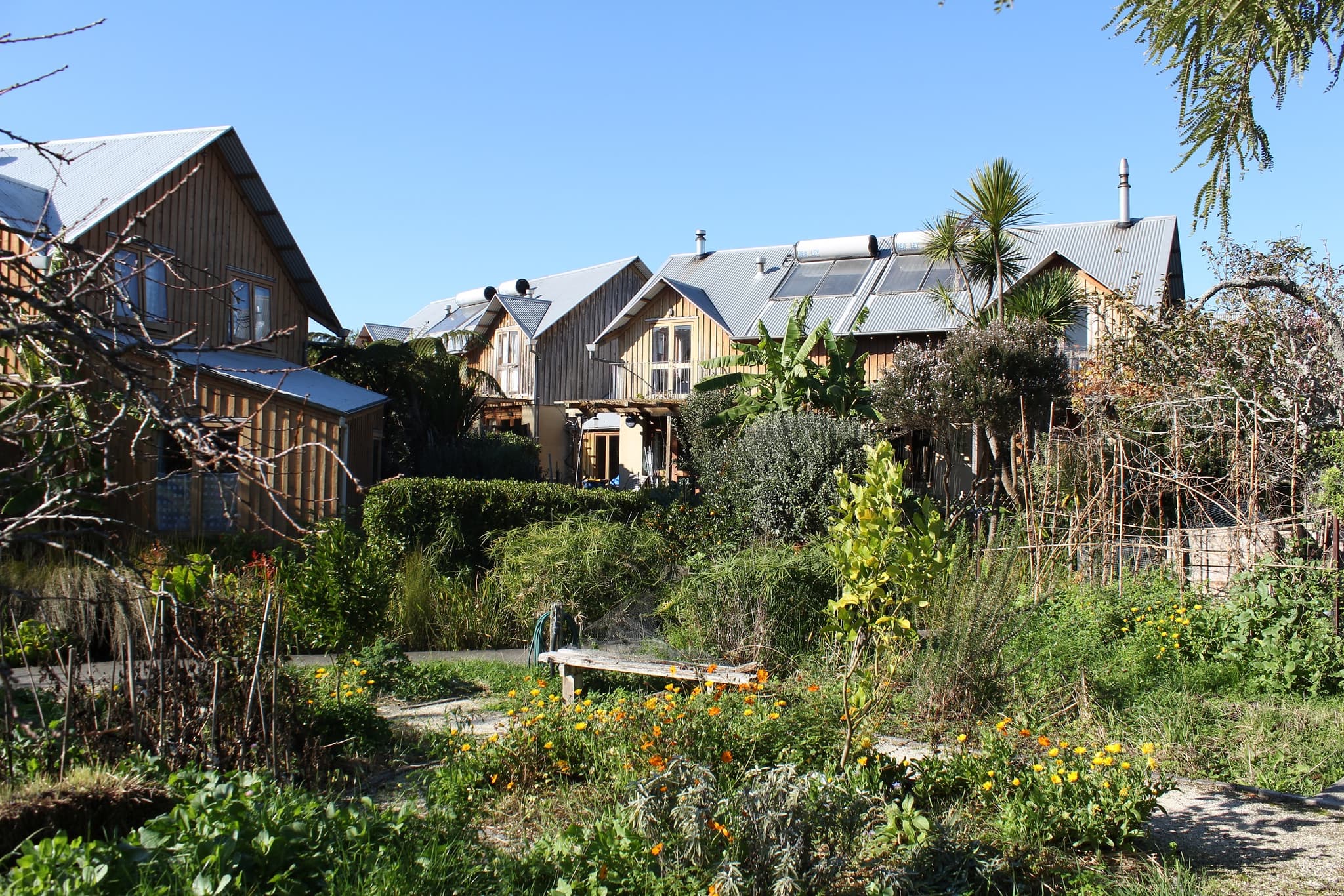 Earthsong Eco-Neighbourhood