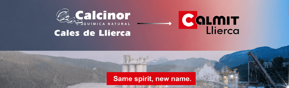 Cales de Llierca