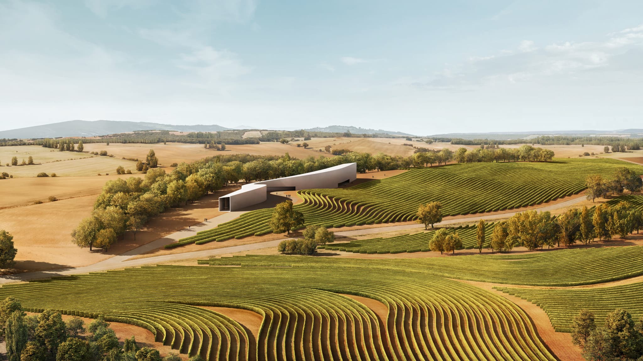 Bodegas Dominio d'Echauz