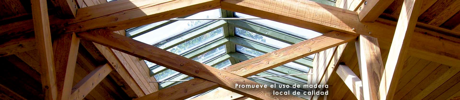Madera Plus Calidad Forestal S.L.